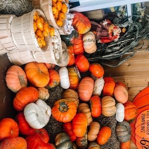 Meet your Posher, Francesca